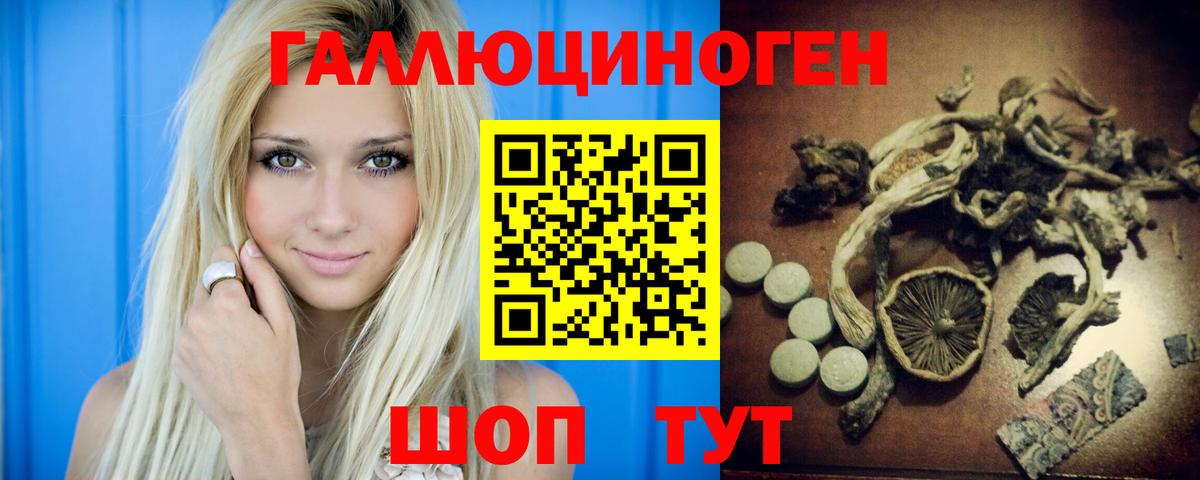 Псилоцибиновые грибы мицелий  Псилоцибиновые грибы прущие грибы  Елизово  Вход с VPN 